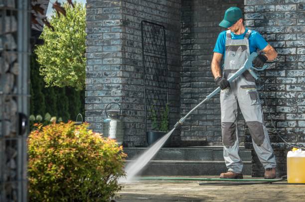 Best Dumpster Area Cleaning  in Washoe Valley, NV
